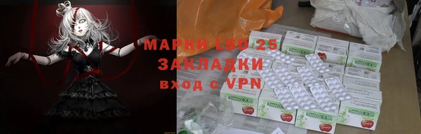 твердый Алзамай