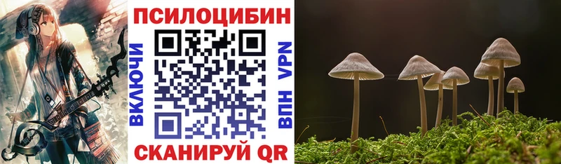 Псилоцибиновые грибы Psilocybine cubensis  что такое   Азнакаево 
